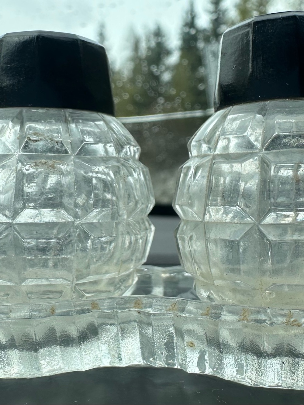 Vintage Clear Glass Salt & Pepper Shakers Set